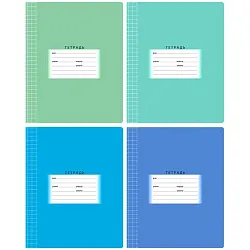 Тетрадь БИДЖИ Школьная клетка 12л