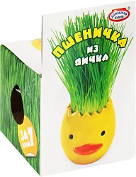 Набор пасхальный ДОМАШНЯЯ КУХНЯ Пшеничка из яичка