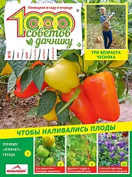 Журнал 1000 СОВЕТОВ Дачнику