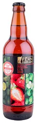 Напиток слабоалкогольный ФЕРН Медовуха с клубникой и лаймом 6% ст/б 0.5л