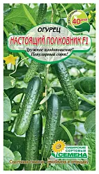 Семена ССС Огурец Настоящий полковник F1 7шт