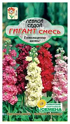 Семена ССС Левкой Гигант седой 1г