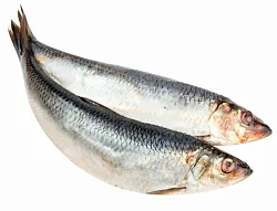 Сельдь ШТИЛЬ Олюторская с/с 1кг