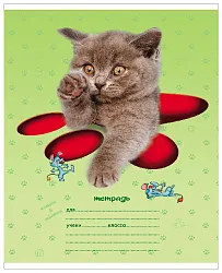 Тетрадь ХАТБЕР Кошки-мышки клетка 12л