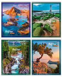 Тетрадь ПРОФ-ПРЕСС Райские виды клетка 48л арт.Т48-4365