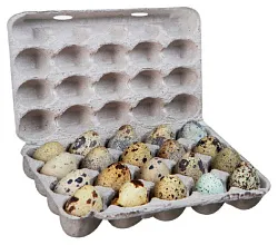 Яйцо перепелиное 20шт