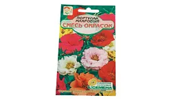 Семена ССС Портулак Смесь окрасок махровый 0.1г