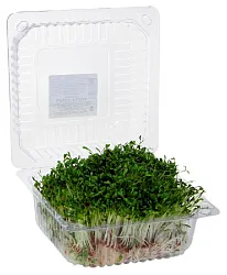 Проростки СИБРОСТОК Кресс-Салата 75г