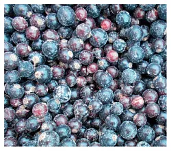 Смородина черная с/м 1кг