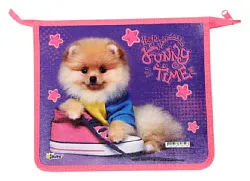 Папка для школьных тетрадей Рыжий шпиц молния А5