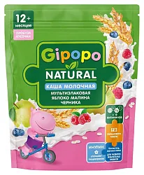 Каша ГИПОПО мультизлаковая яблоко малина черника м/у 200г