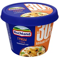 Сыр плавленый ХОХЛАНД с грибами и луком бзмж 40% 230г