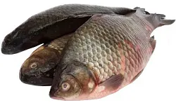 Карась КАМШАТ охл 1кг