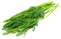 Укроп 1кг