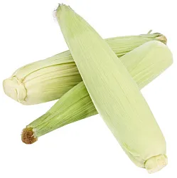 Кукуруза свежая початок 1кг