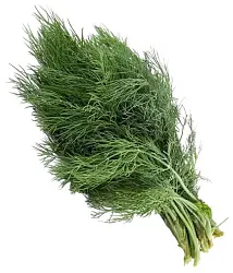 Укроп ЗЕЛЕНАЯ ПОЛЯНКА 60г