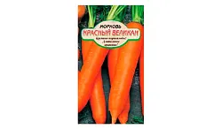 Семена ССС Морковь Красный великан 2г
