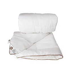 Одеяло СВИТ ДРИМС 170*200см арт.384170