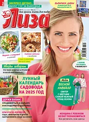 Журнал ЛИЗА