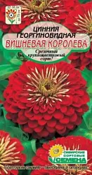 Семена ССС Цинния Вишневая королева 3г