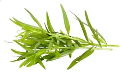 Эстрагон 50г