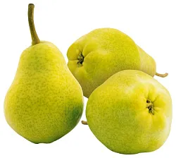 Груша Пакхам 1кг