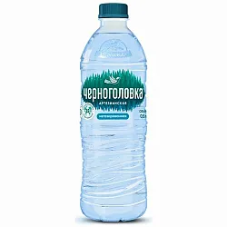 Вода питьевая ЧЕРНОГОЛОВКА негазированная 0.5л