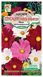 Семена ССС Космея Сенсация 3г