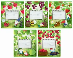 Тетрадь ЭРИХ КРАУЗЕ Гномики линейка 12л арт.48823