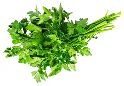 Петрушка 100г