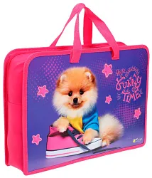 Папка для труда Рыжий шпиц молния А4