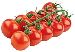 Помидоры СВЕЖИЙ СТАНДАРТ Коктейльные на ветке 350г