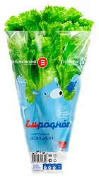 Салат ЕМ РОДНОЕ Афицион свежий 1шт