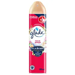 Освежитель воздуха ГЛЕЙД После дождя 300мл