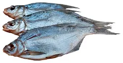 Плотва КАМШАТ вяленая 1кг