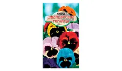 Семена ССС Виола Швейцарские гиганты смесь 0.1г