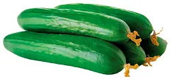 Огурец среднеплодный 1кг