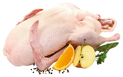 Тушка утёнка охл 1кг