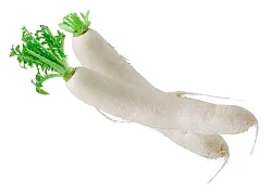 Редька Дайкон 1кг