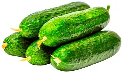 Огурец короткоплодный 450г