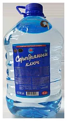 Мин.вода СЕРЕБРЯНЫЙ КЛЮЧ Бехтемир негазированная 5л