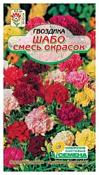 Семена ССС Гвоздика Шабо смесь окрасок 1г