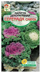 Семена ССС Капуста Серенада смесь декоративная 1г