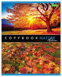 Тетрадь ХАТБЕР Ассорти Эко А5 клетка 48л