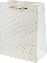 Пакет подарочный ТАМ-ТАМ Параллели 18*10*23см арт.E1910S