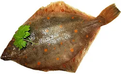 Камбала охл из замороженного сырья 1кг