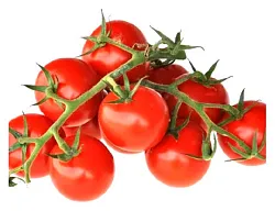 Помидоры на веточке 1кг