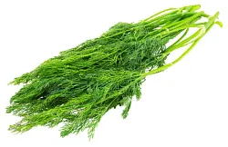 Укроп 50г