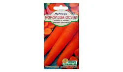 Семена ССС Морковь Королева осени 2г