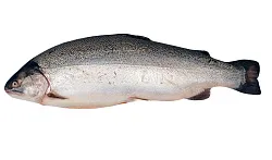 Форель НОВОСЕЛОВ потрошеная охл 1кг